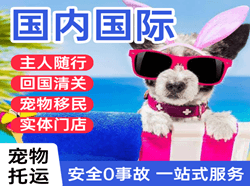 朔州滋润航空物流国际宠物托运 【国